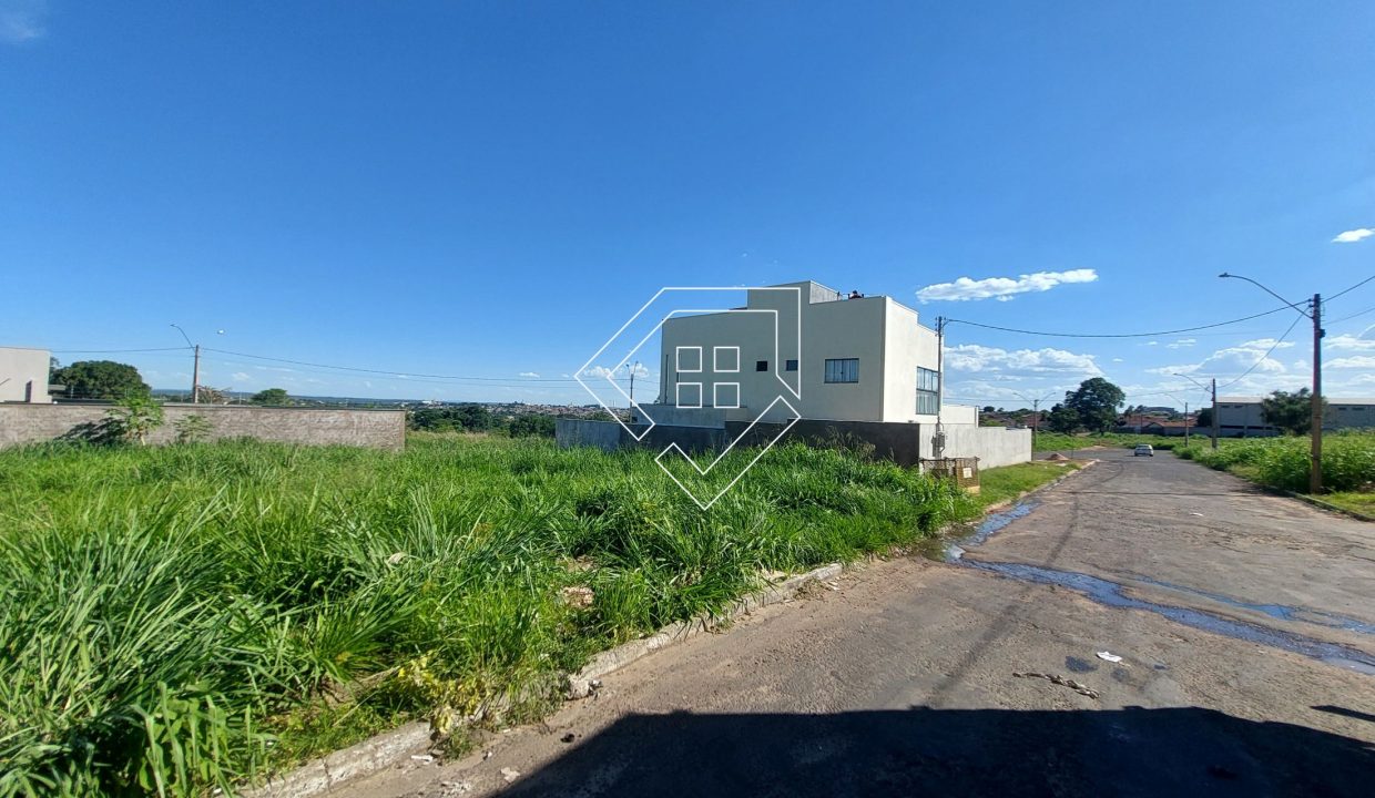 michelangelo22lt10_001