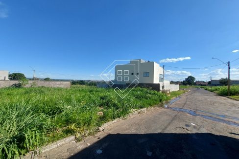 michelangelo22lt10_001