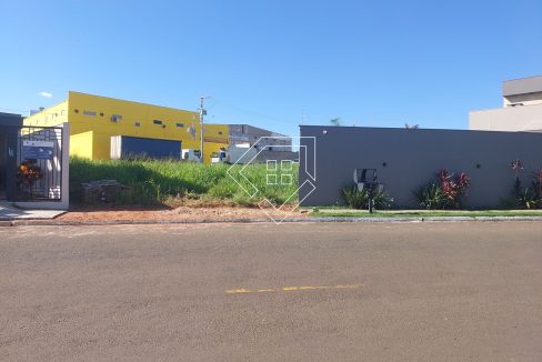 michelangelo22lt10_002