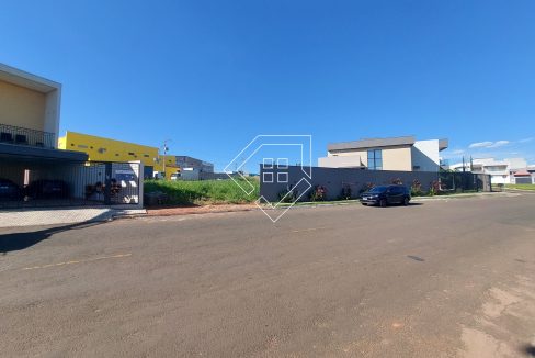 michelangelo22lt10_003