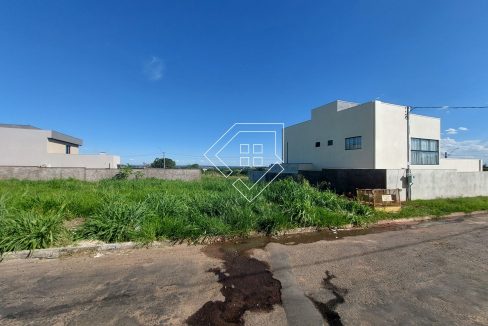 michelangelo22lt10_004