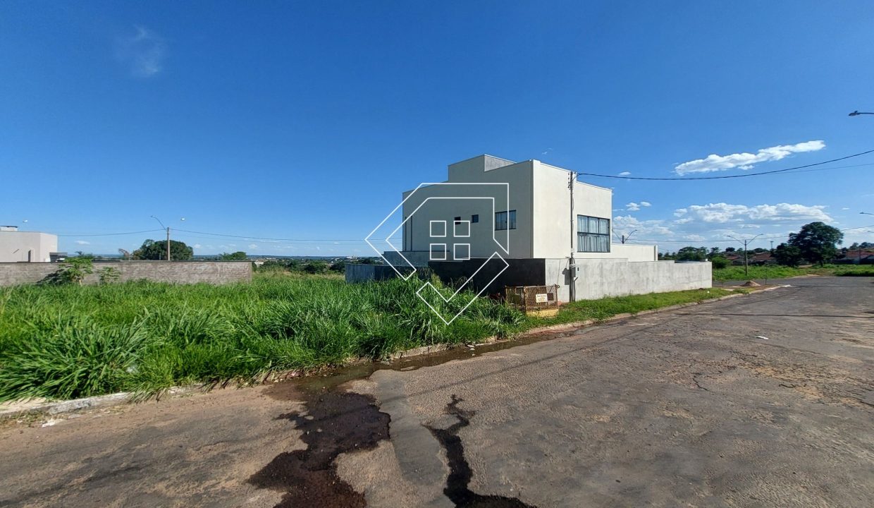 michelangelo22lt10_005