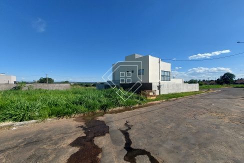 michelangelo22lt10_005