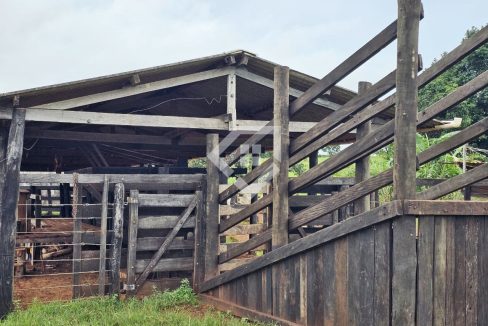 fazenda64885008