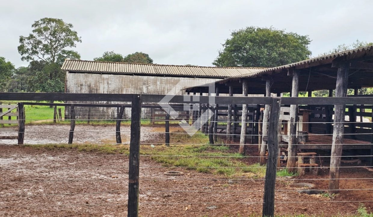 fazenda64885011