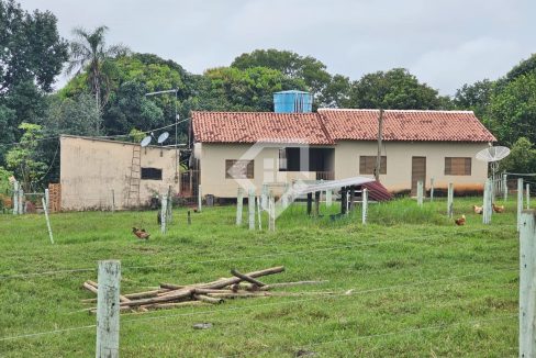 fazenda64885012