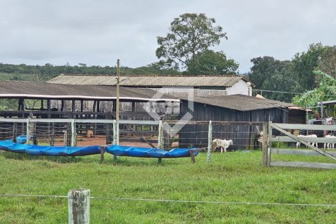 fazenda64885013