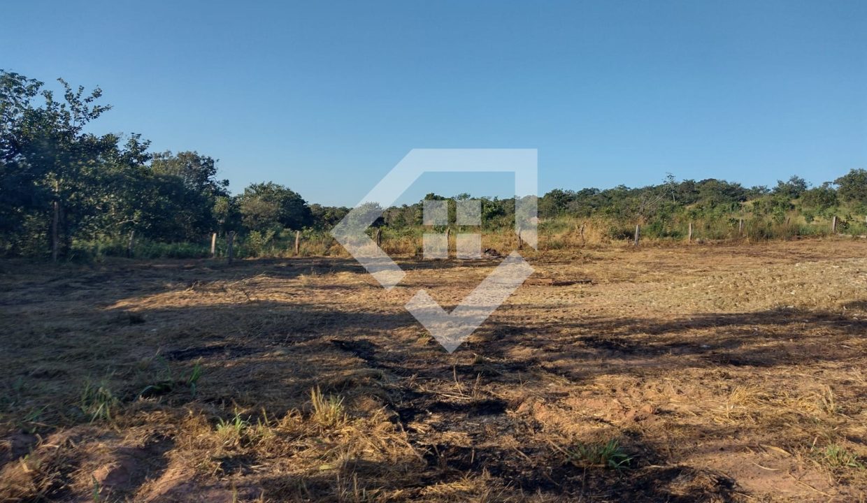 fazenda65726001