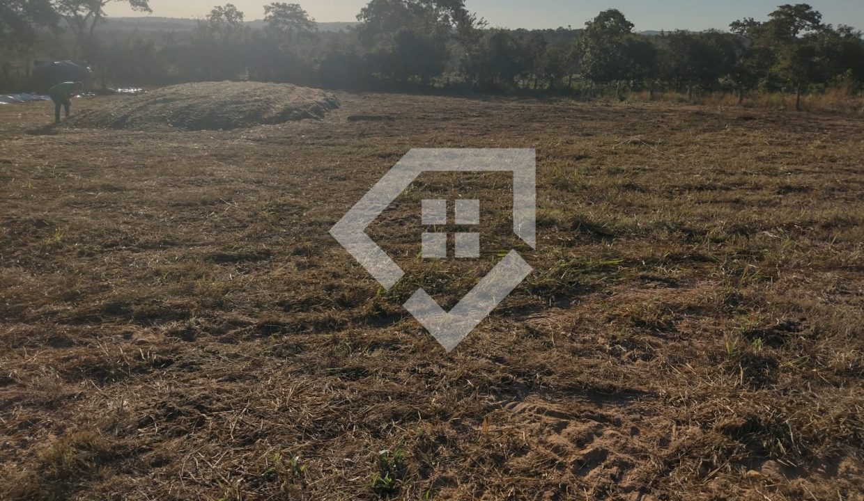 fazenda65726002