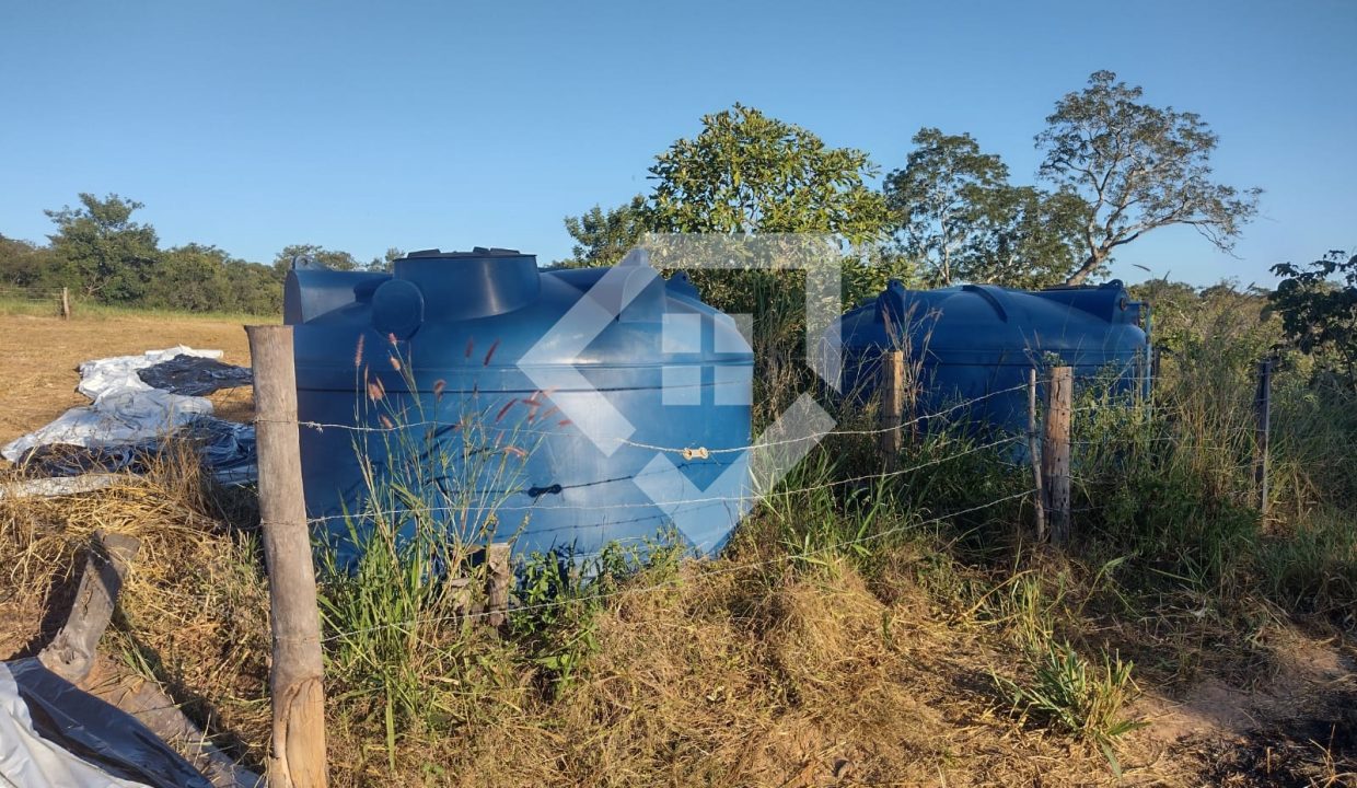 fazenda65726003