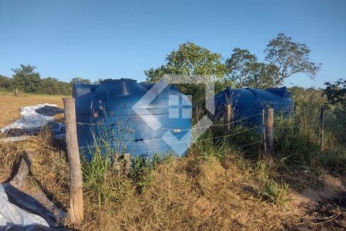 fazenda65726003