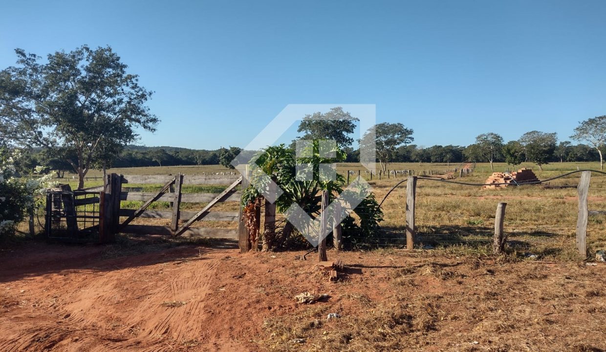 fazenda65726004