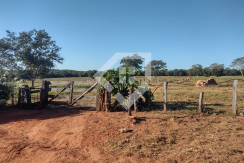fazenda65726004