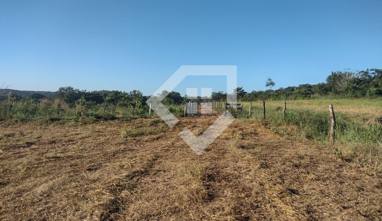 fazenda65726005
