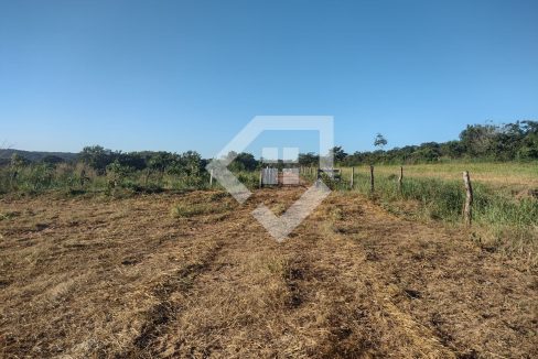 fazenda65726005