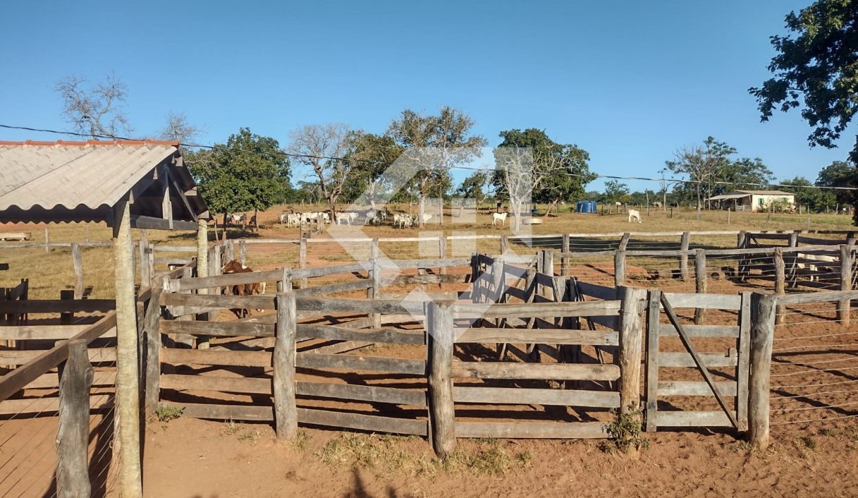 fazenda65726006