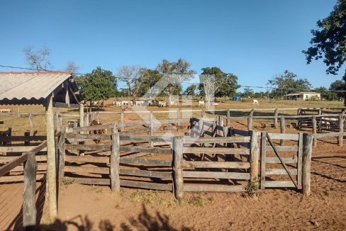fazenda65726006