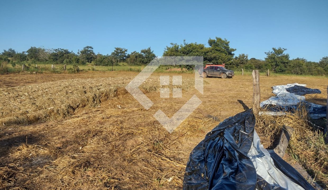 fazenda65726008