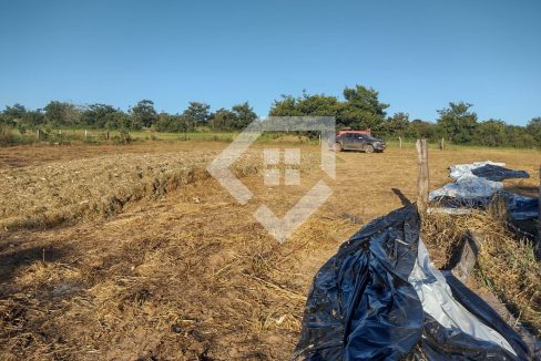 fazenda65726008