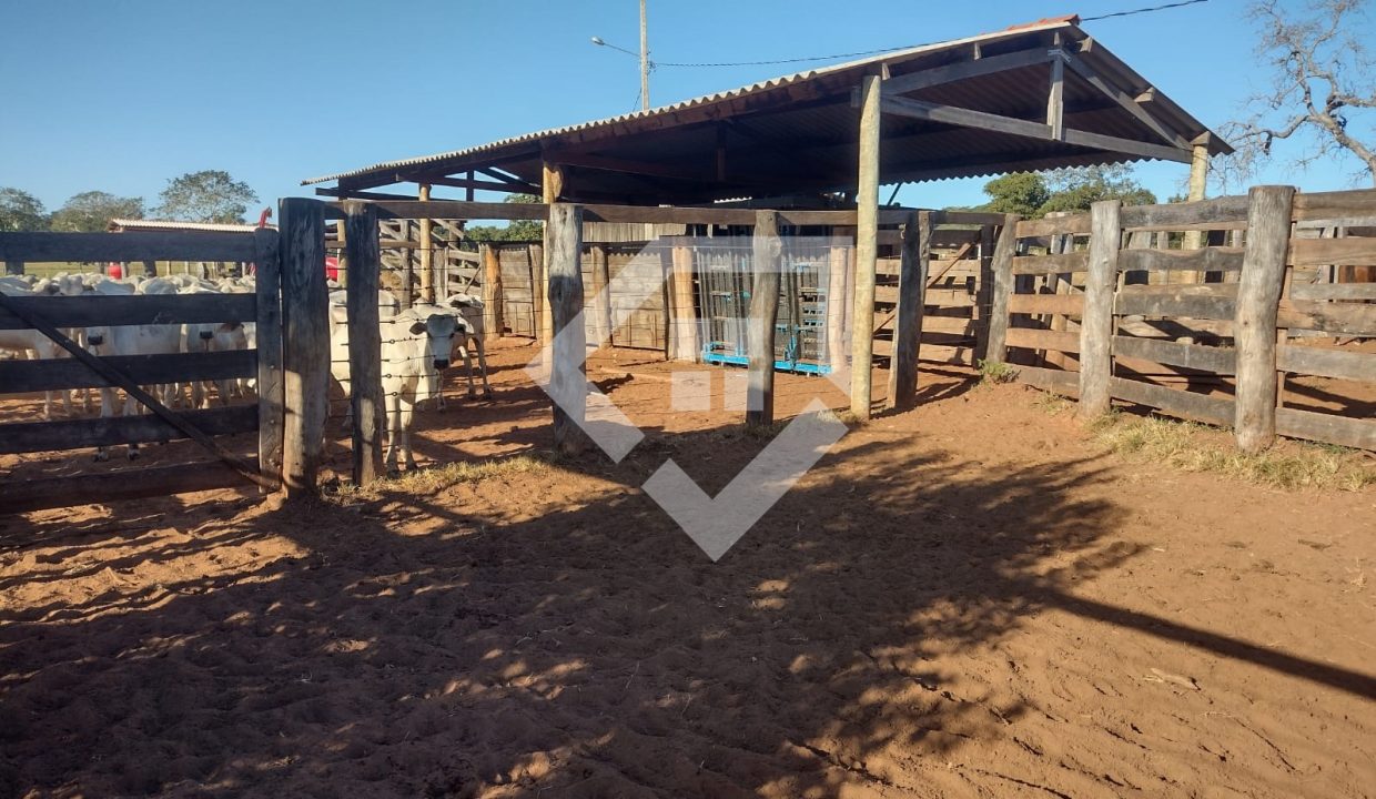 fazenda65726009