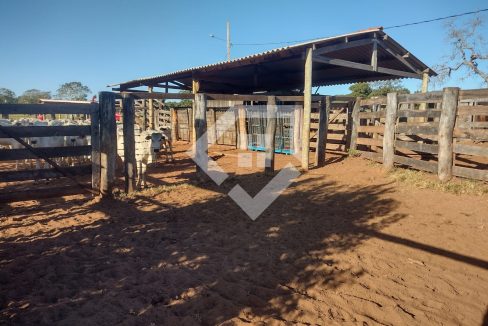 fazenda65726009
