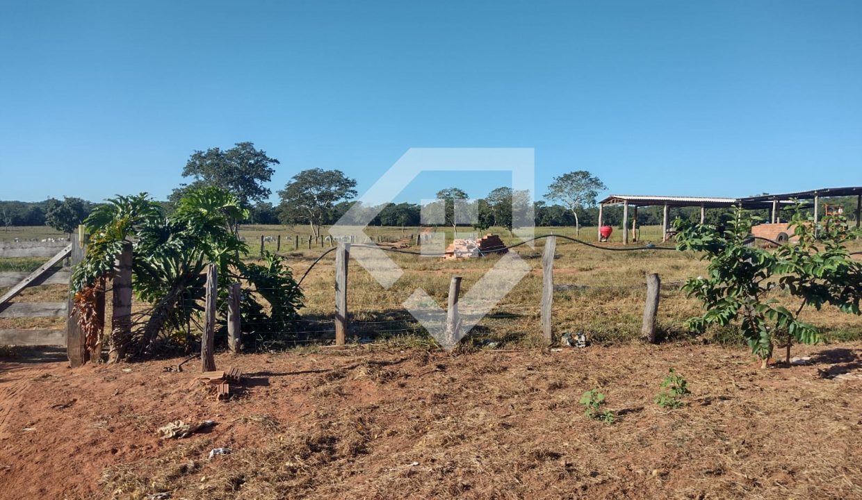 fazenda65726011