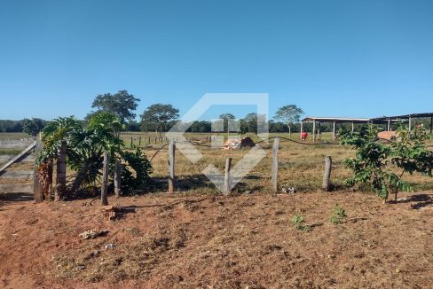 fazenda65726011