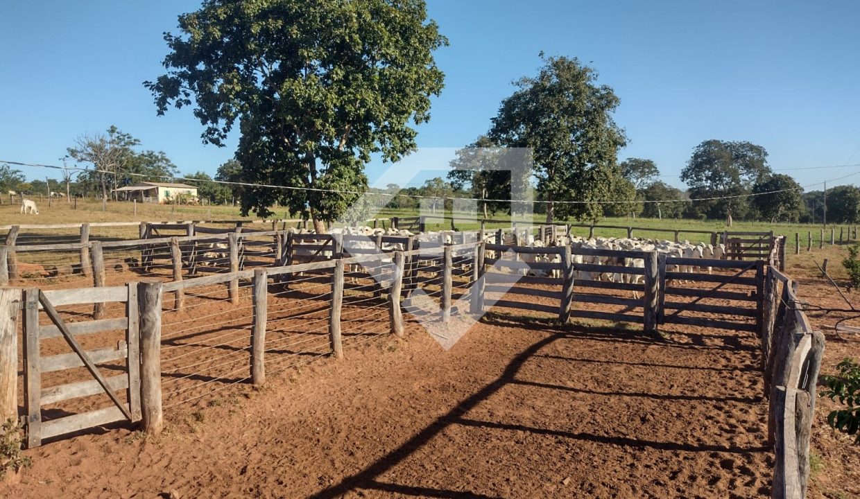fazenda65726012