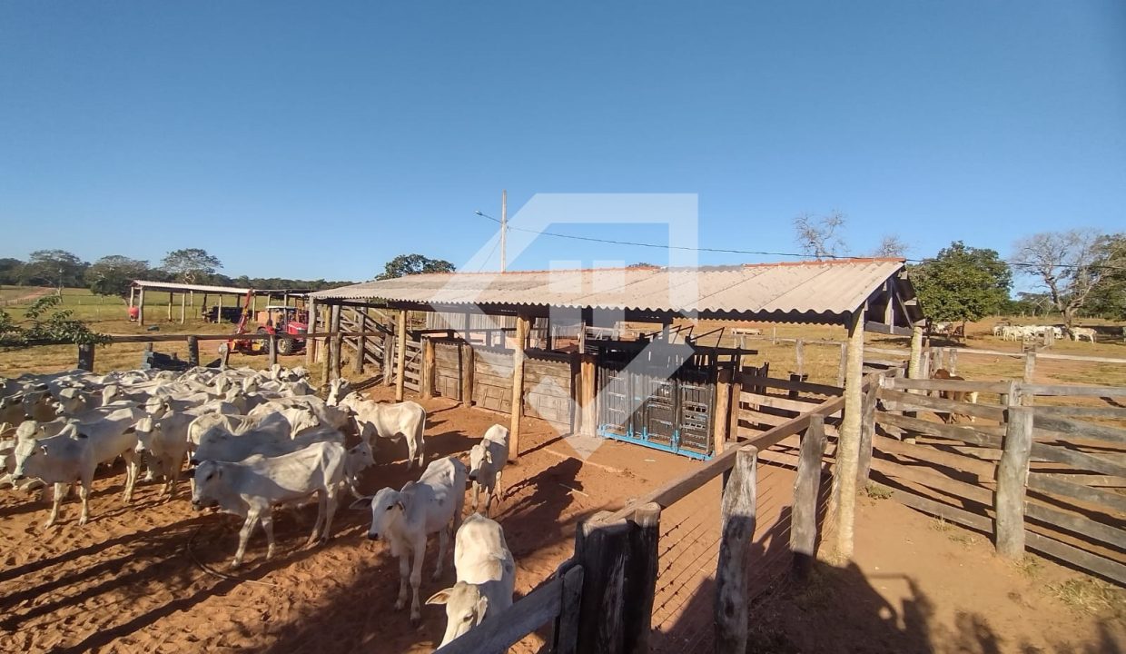 fazenda65726013