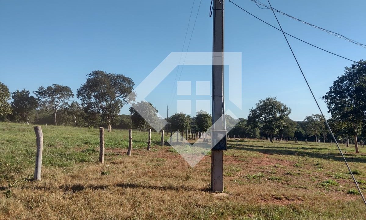 fazenda65726014