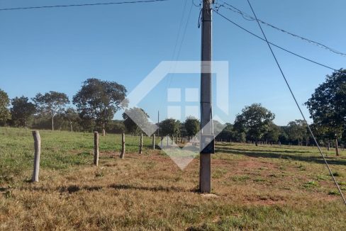 fazenda65726014