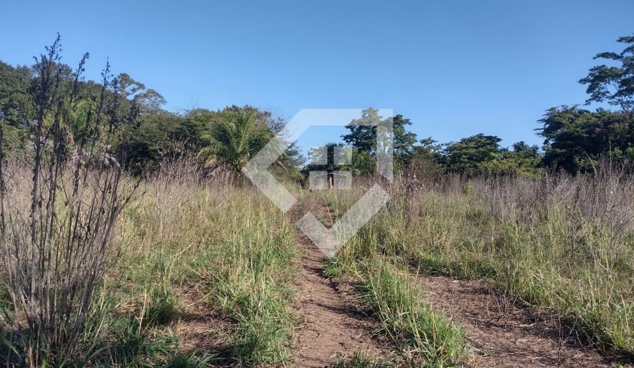 fazenda65726015