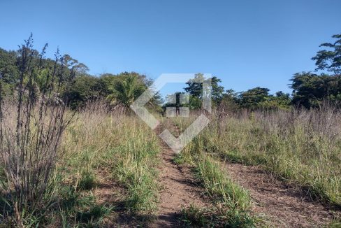 fazenda65726015