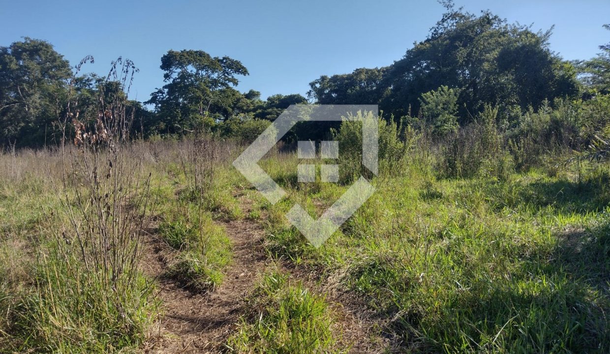 fazenda65726016