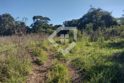 fazenda65726016