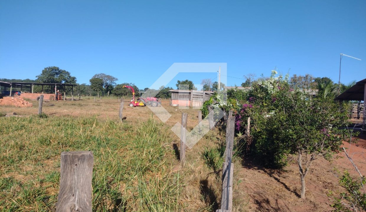 fazenda65726018