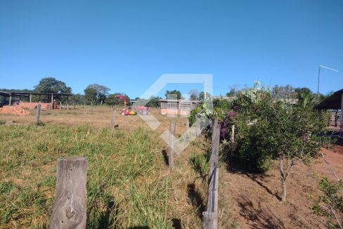 fazenda65726018