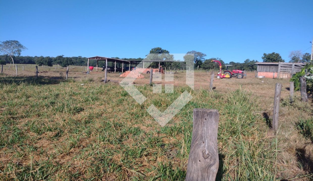 fazenda65726019