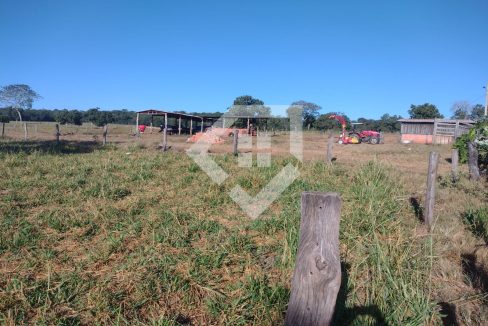 fazenda65726019