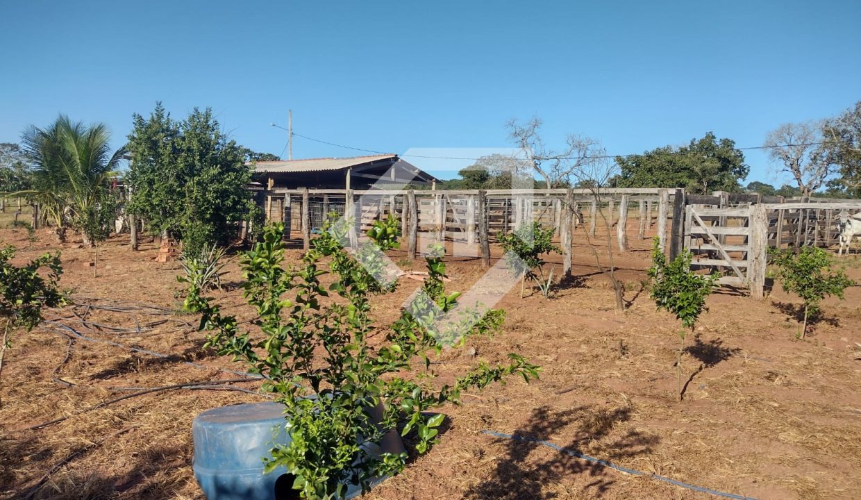 fazenda65726020
