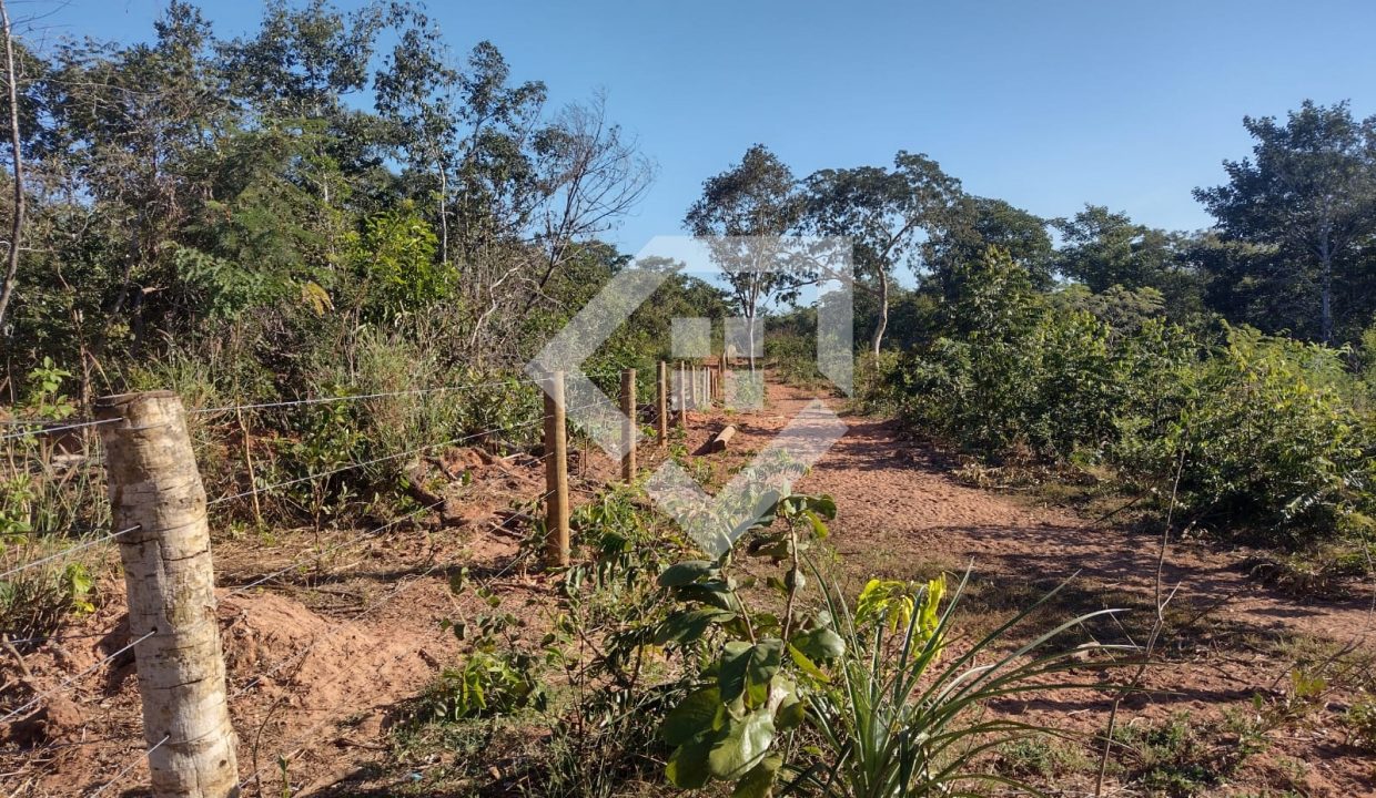 fazenda65726021