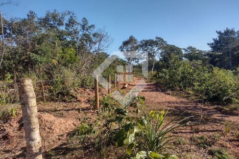 fazenda65726021
