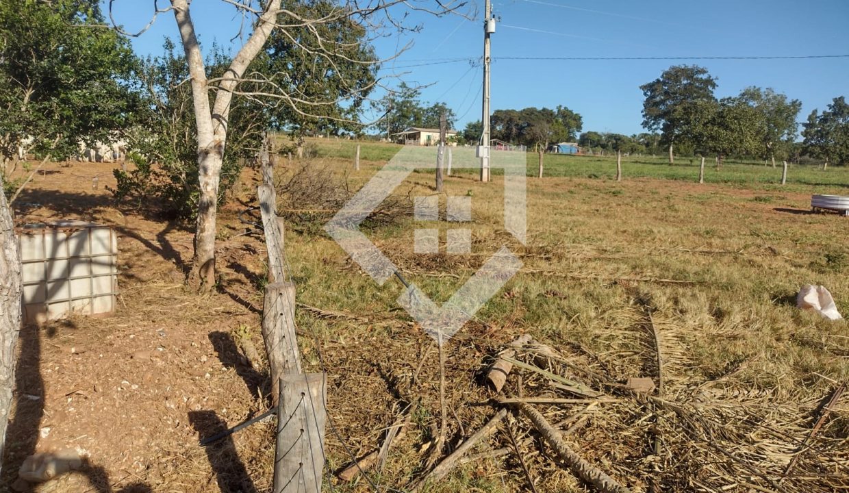 fazenda65726023