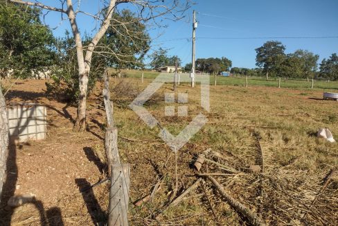fazenda65726023