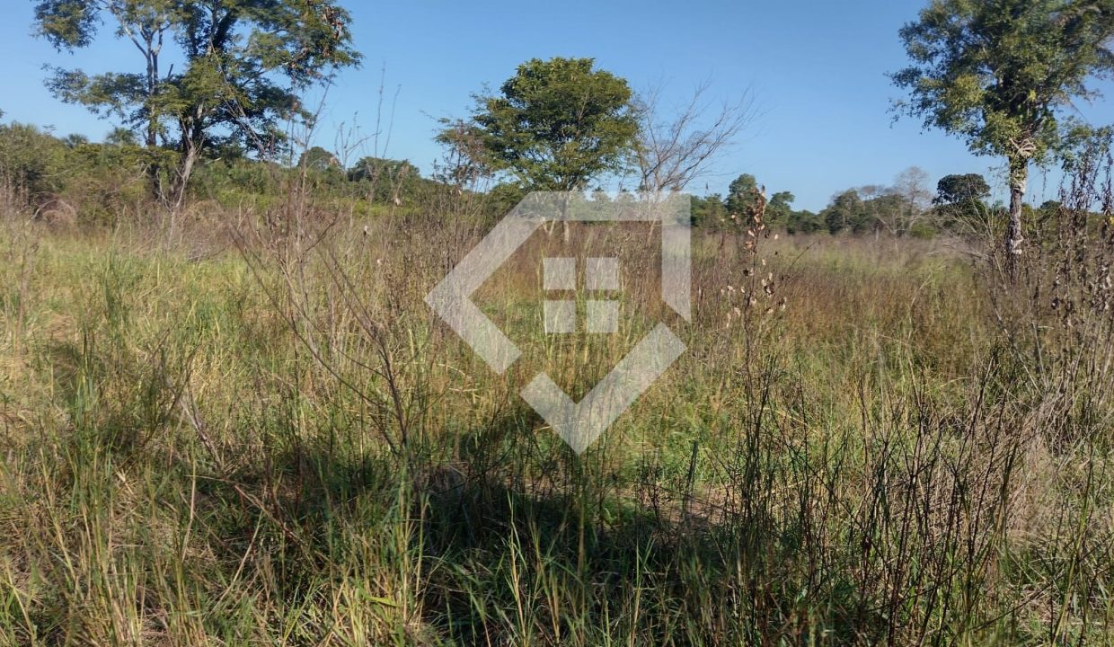 fazenda65726025