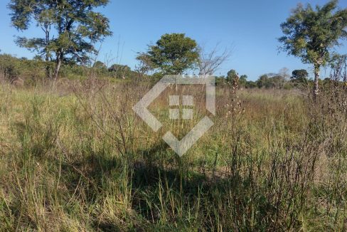 fazenda65726025