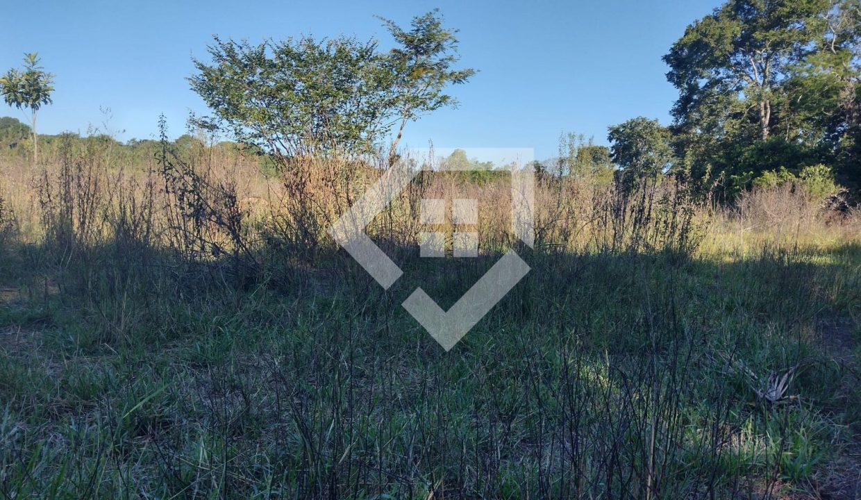fazenda65726026