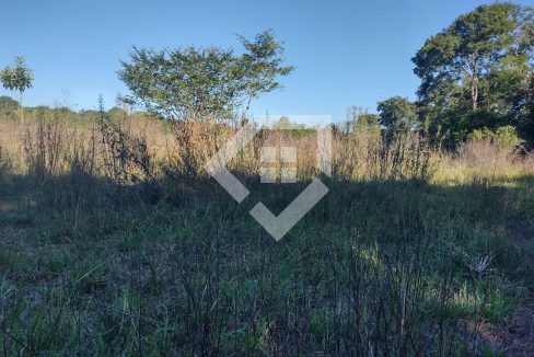 fazenda65726026