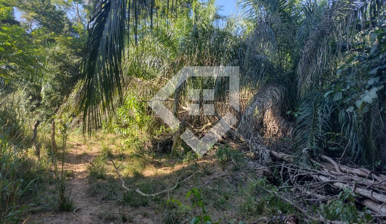 fazenda65726027
