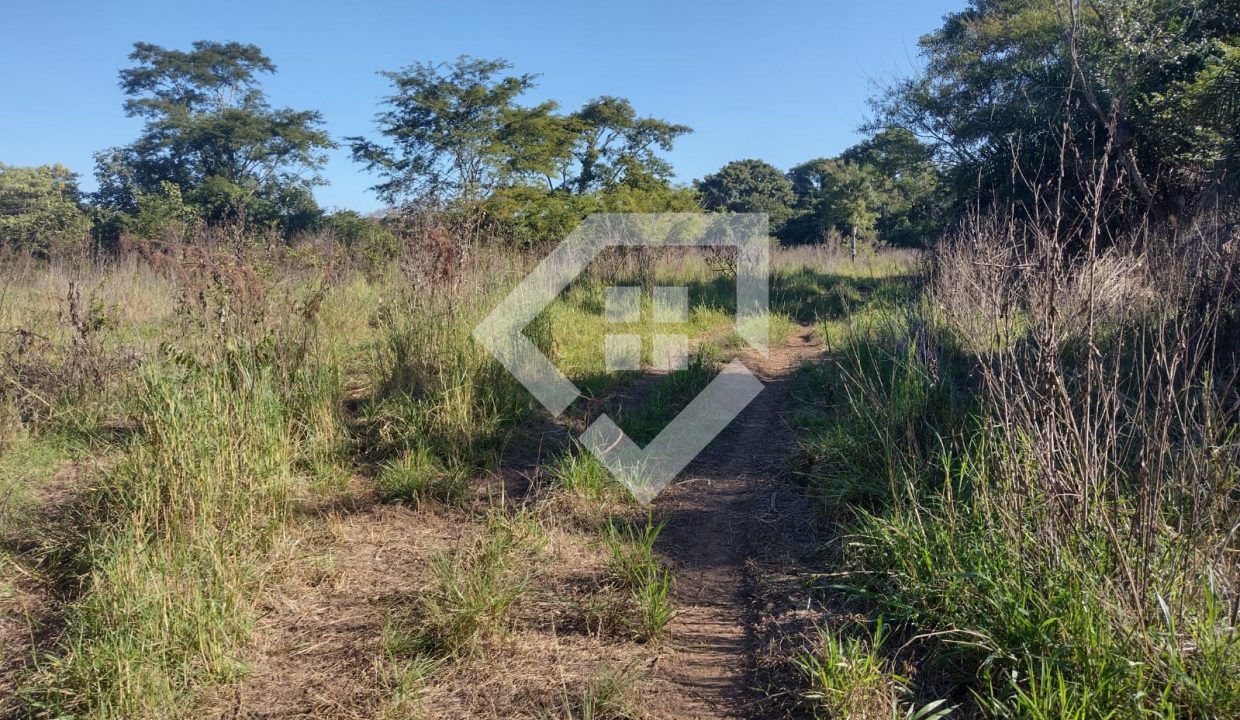 fazenda65726028